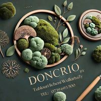 doncrio_wallartuzy