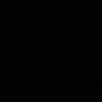 sinasecas