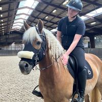 we._.equestrian