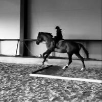 riding_on_my_callmelater