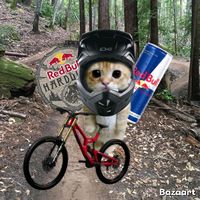 kotletmtb