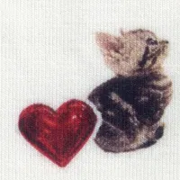 original sound - starrycapulet