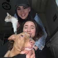 mimipetrescue