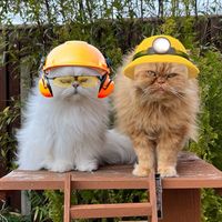 teddieandcasper