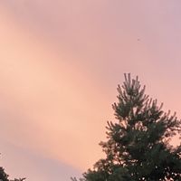 nicole_45289