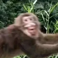 original sound - javier.ramirez2912