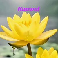 rkanwal364
