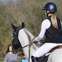 les.poneys.de.cha