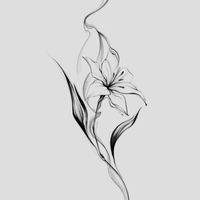 amouciel