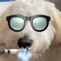 produktplug