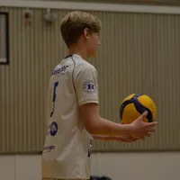 original sound - mannegillarkvarg