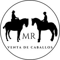 mr.horses.sale