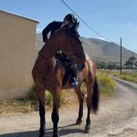 konna_equestrian