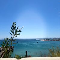 harley_5785