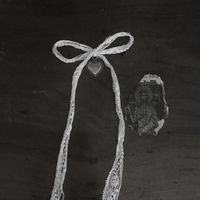 lucretiaamyreflection