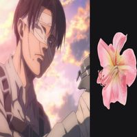 kakashisnoodle