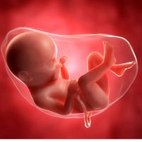 toutsavoirsurlagrossess