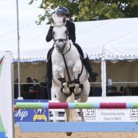 phoebe.showjumps