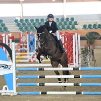 flipsi.showjumping