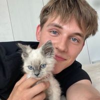 nhạc nền - cute cat