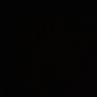 user92639291762728
