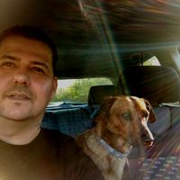 elet_az_erdo_kozepen_