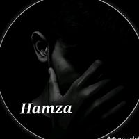 ali.hamza.jutt476