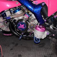 rapido_dt