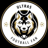 football_fury0