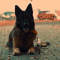 __shake___