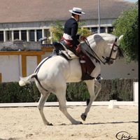 anselmo.fernandez50