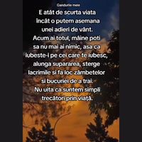 sunet original