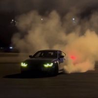 wild_media