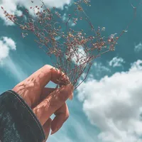 original sound - lyrics_aesthetics20