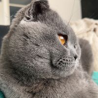 coco69023
