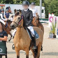 giu_et_ses_poneys