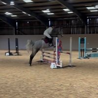 al.showjumping1