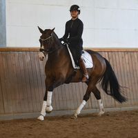 suri_sophie_schroeder