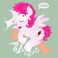 polaris.mlp