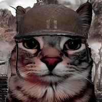fated_tomato