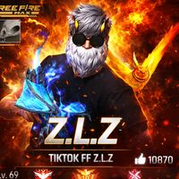 ff.z.l.z