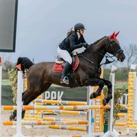 lijalukezic