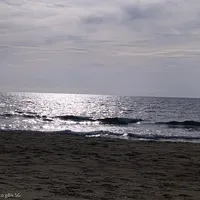 original sound - sa____ro26