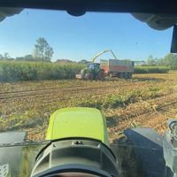 hugo_avn_05