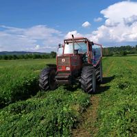 azienda.agricola.c