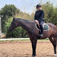 leaaaa_poney