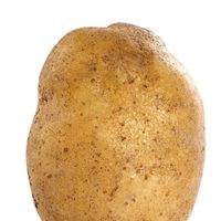 potatos955