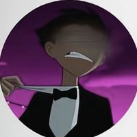 sowan_13k