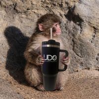 udostreetdance
