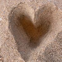 nesrine_1669